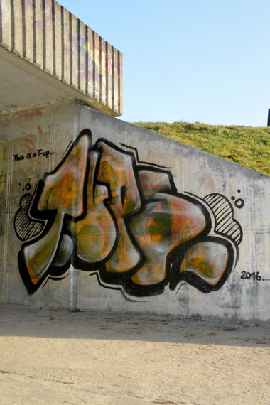 Graffiti Wall in Frankfurt (Oder) - Photo by NOIIO3 - tups, throwup, tup (2016)