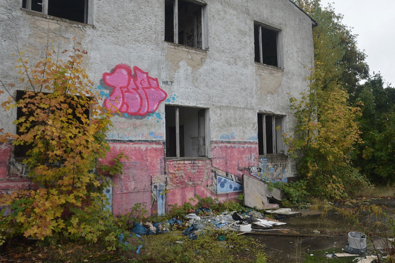 Graffiti Bombing - Photo by NOIIO3 - tups, tup, t (2016)