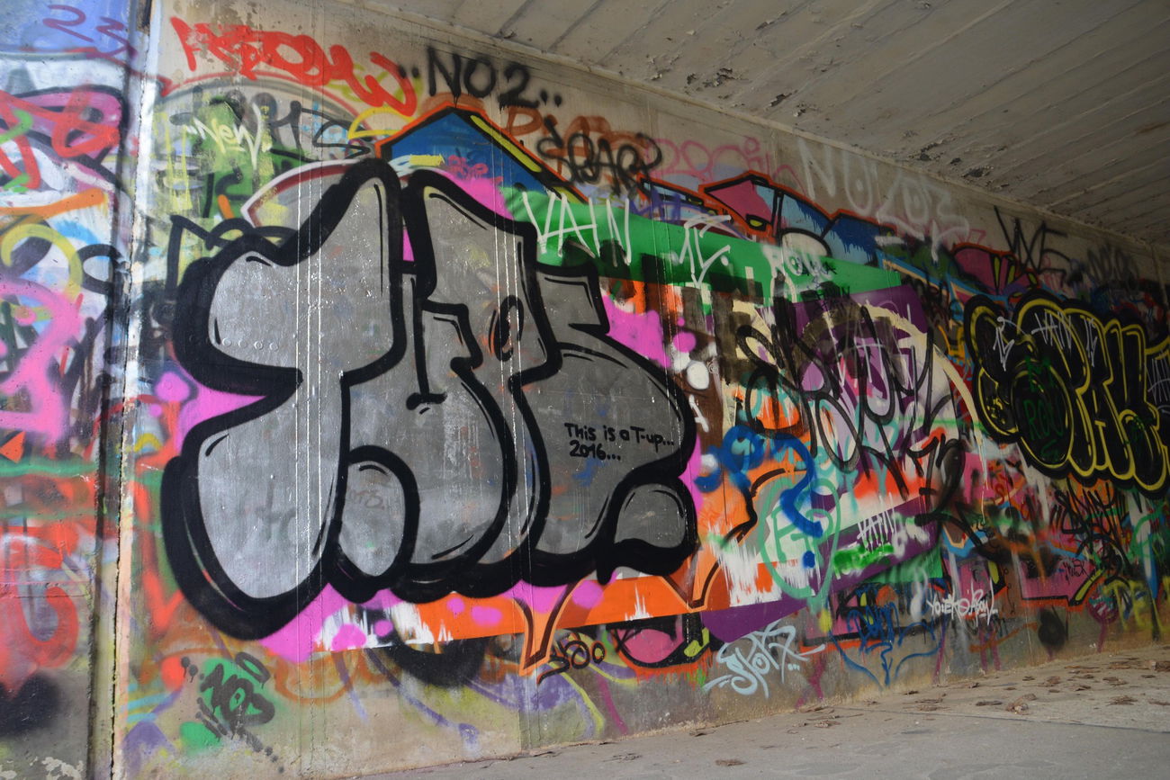 Graffiti Bombing - Photo by NOIIO3 - tups, throwups, bubble (2016)