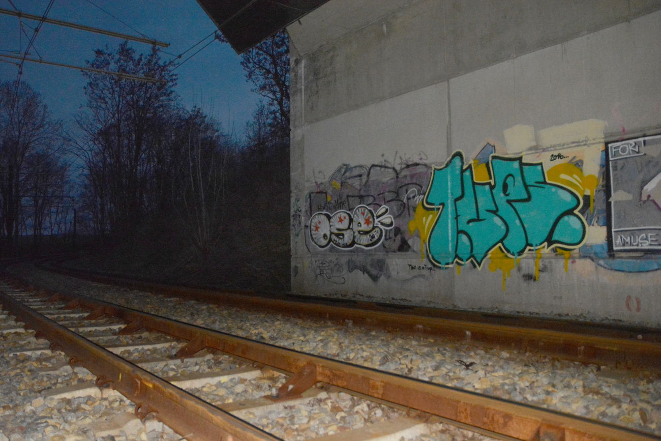 Graffiti Bombing in Frankfurt (Oder) - Photo by NOIIO3 - tups, tup, throwie (2016)