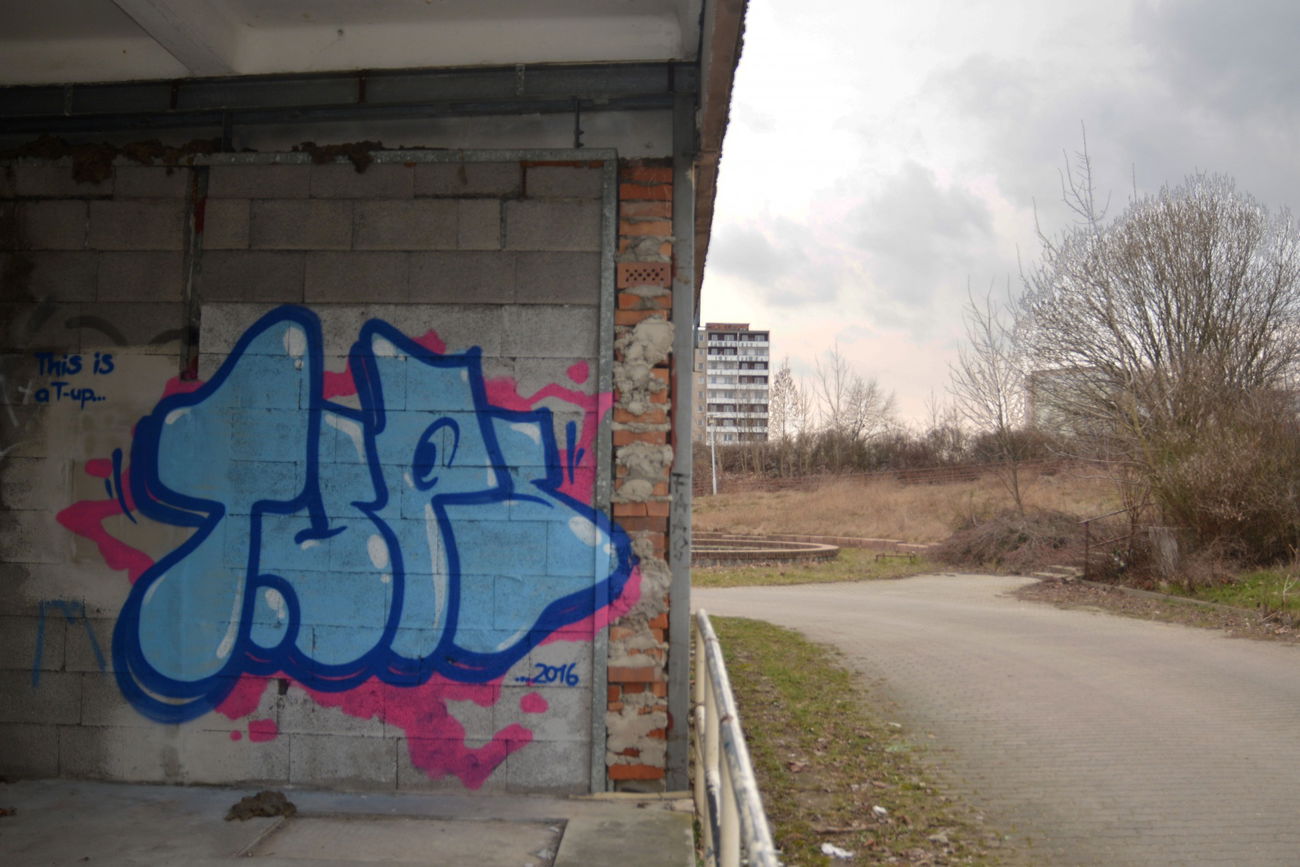 Graffiti Bombing - Photo by NOIIO3 - tups, tup (2016)