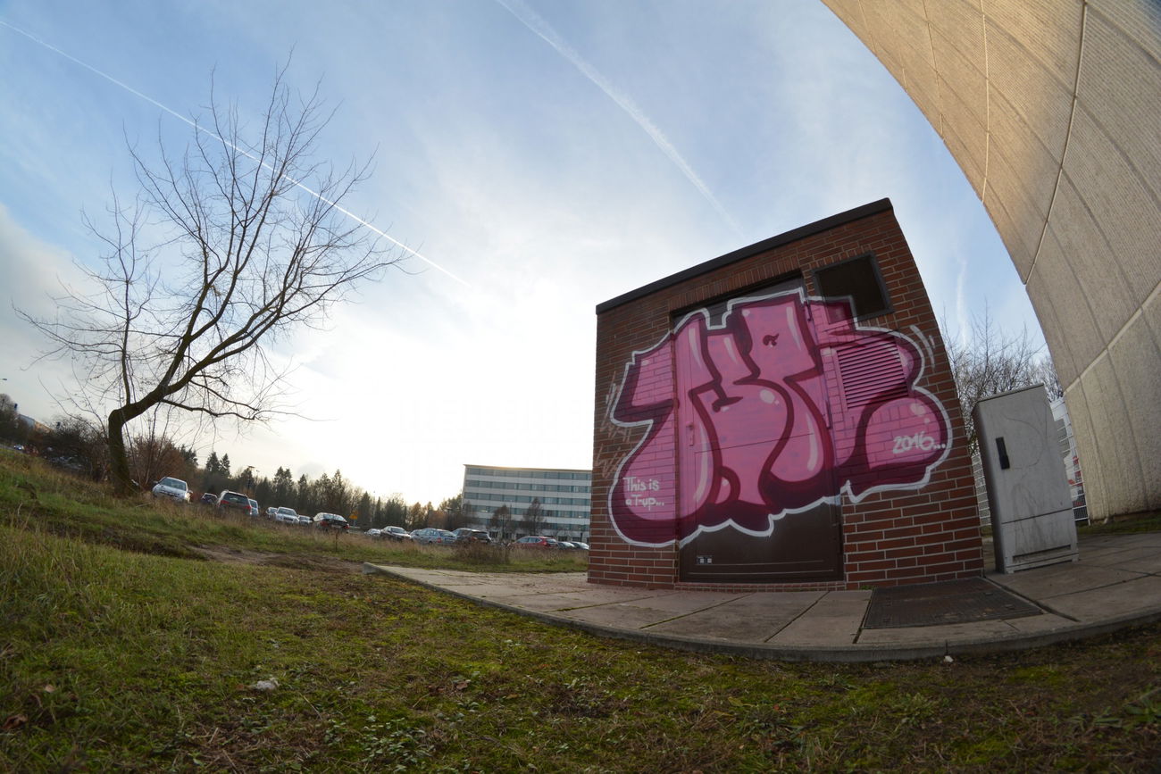Graffiti Bombing in Frankfurt (Oder) - Photo by NOIIO3 - tups, tup, throwup (2016)