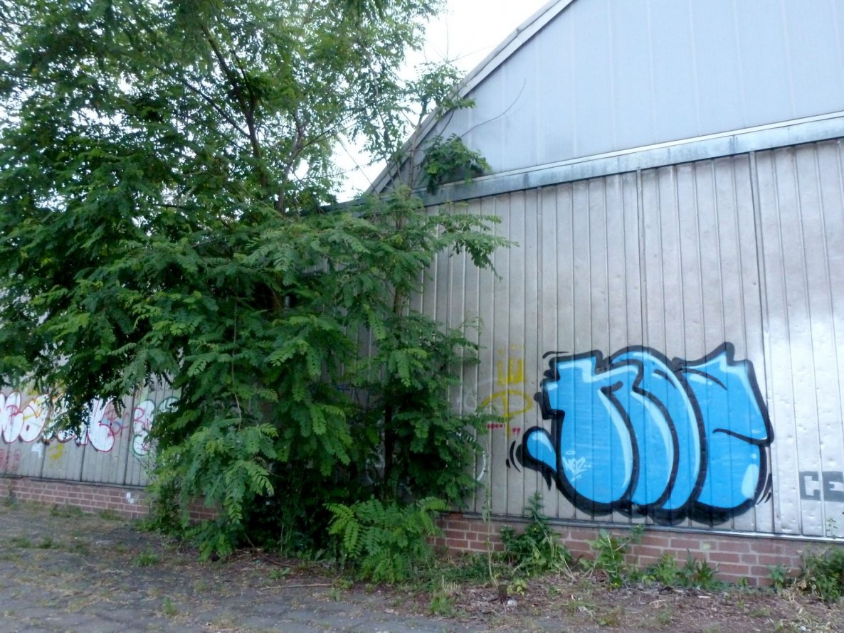 Graffiti Bombing in Frankfurt (Oder) - Photo by NOIIO3 - no2, nr2, nummer2 (2014)