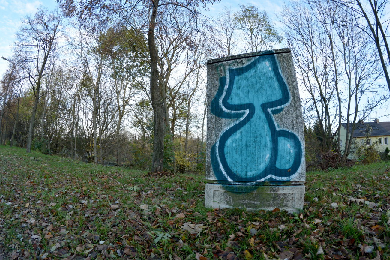 Graffiti Bombing - Photo by NOIIO3 - tups, throwup, thisisatrowup (2016)