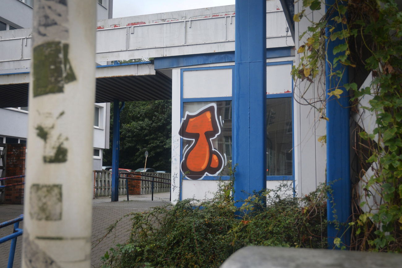 Graffiti Bombing - Photo by NOIIO3 - tups, tup, t (2016)