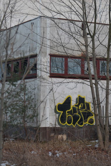 Graffiti Bombing - Photo by NOIIO3 - tups, tup, thowup (2016)