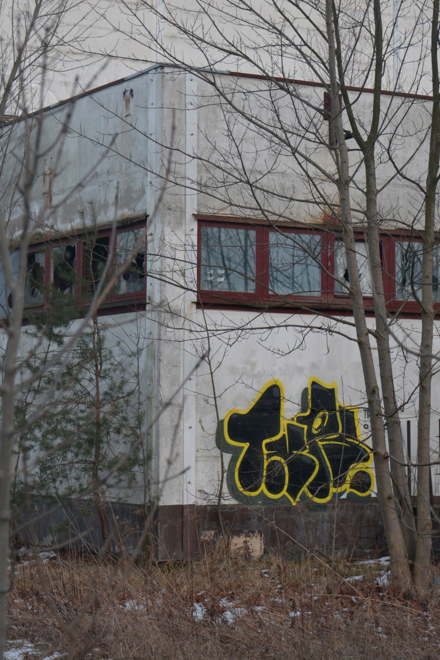 Graffiti Bombing - Photo by NOIIO3 - tups, tup, thowup (2016)