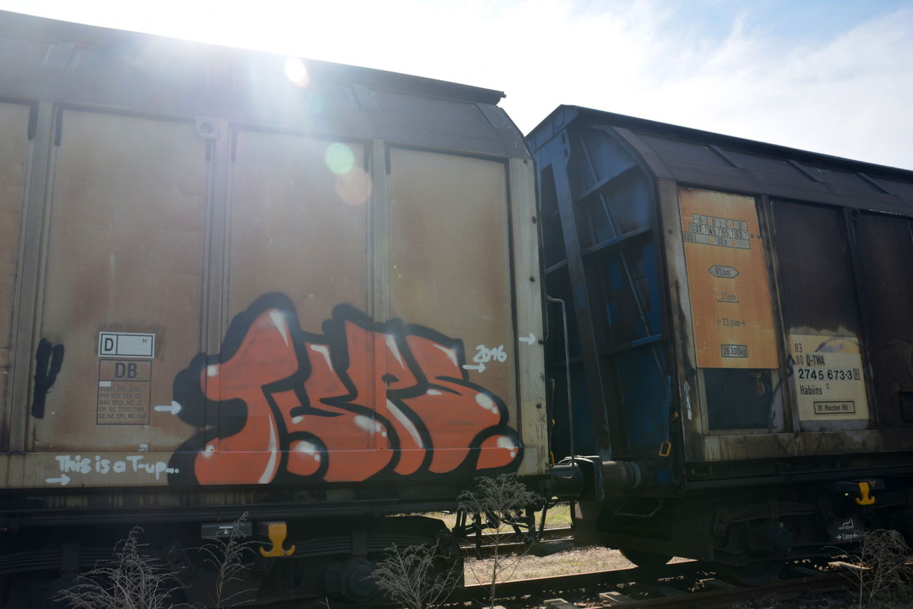Graffiti Train - Photo by NOIIO3 - tups, tup (2016)