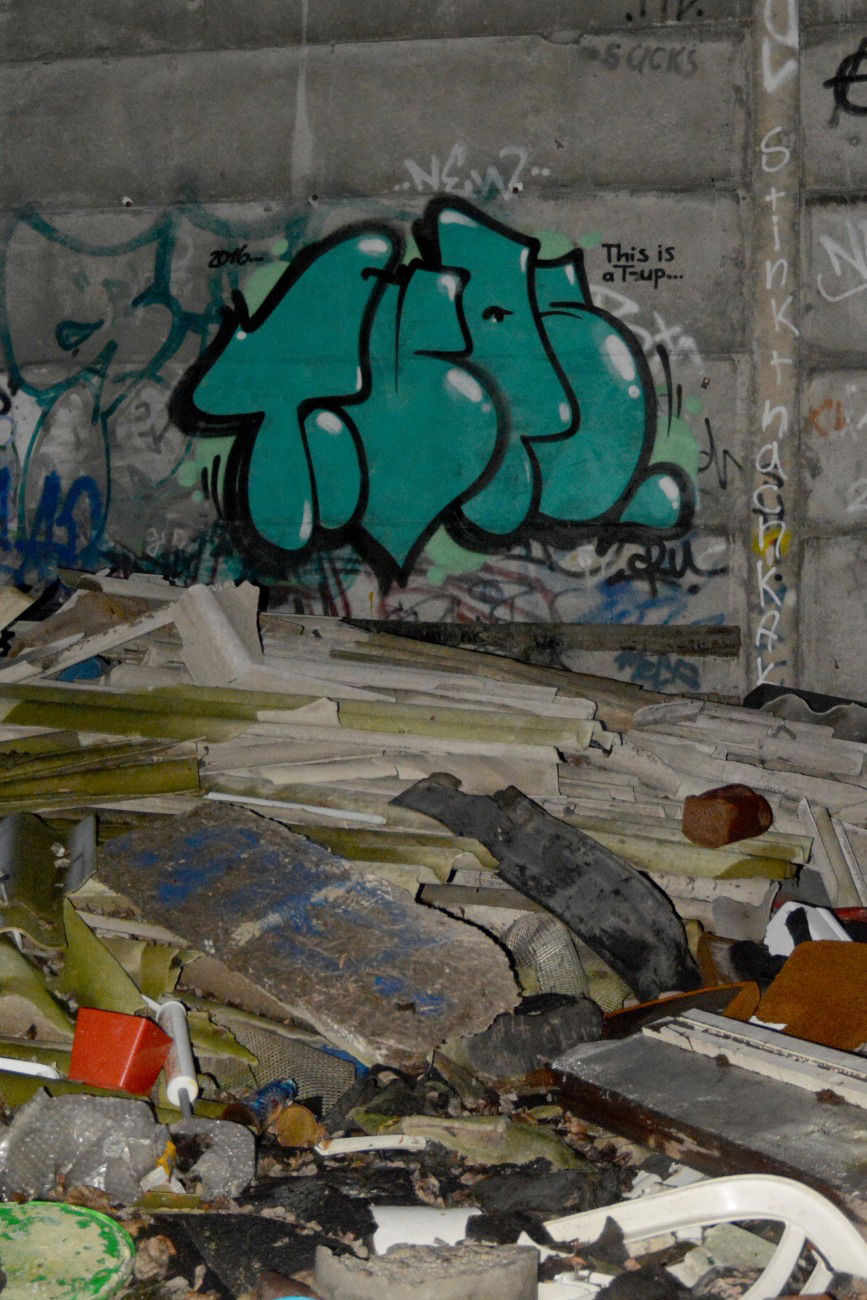 Graffiti Bombing - Photo by NOIIO3 - tups (2016)