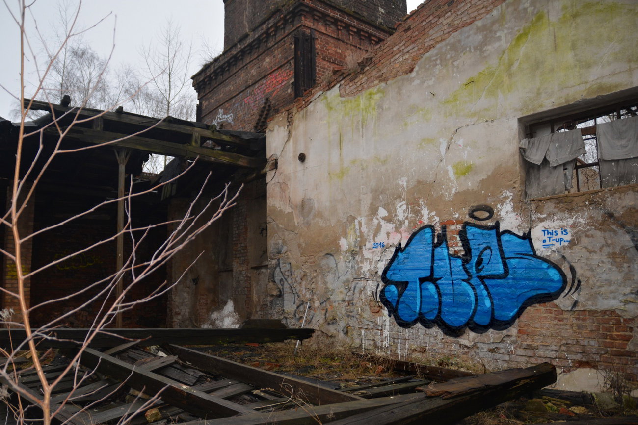 Graffiti Wall - Photo by NOIIO3 - tups, tup, throwup (2016)