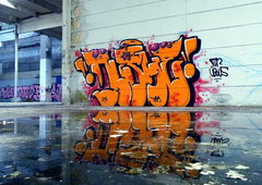 Photo #76895 by CRUZEN