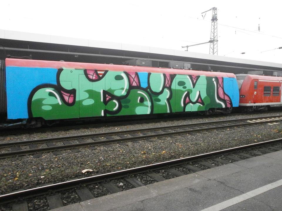 Graffiti Train - Photo by NRW_graff - foim, wholecar