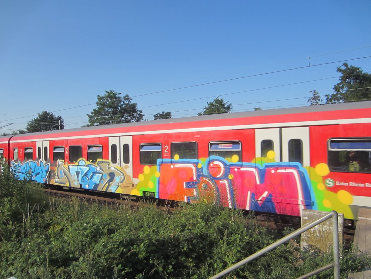 Graffiti Train - Photo by NRW_graff - beast, niek, foim