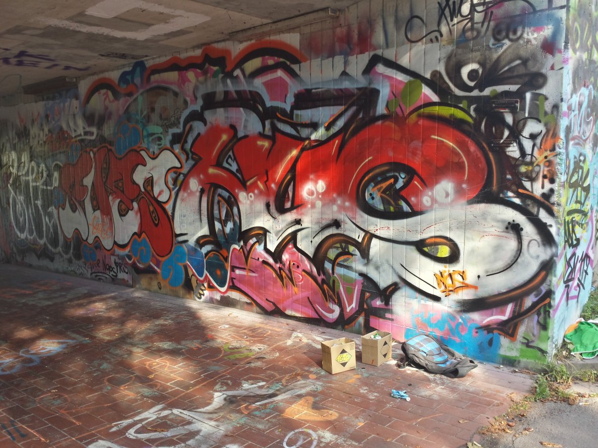 Graffiti Wall - Photo by NUSONE - NUS, nus, IGEL (2014)