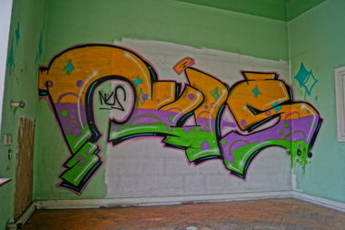 Graffiti Wall - Photo by NUSONE - nus, igel, selina (2016)
