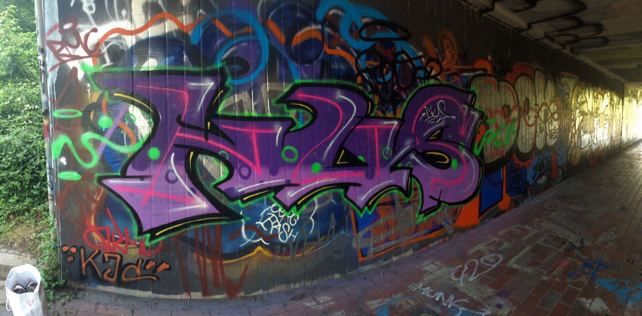 Graffiti Wall - Photo by NUSONE - Nussaarbrücken111saartunnellilapinkigel (2015)