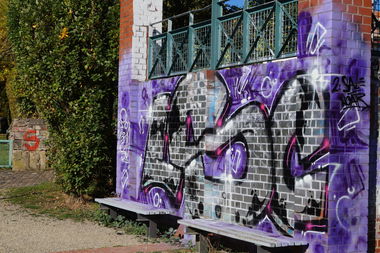 Graffiti Bombing - Photo by NUSONE - lsc, cru, crew (2017)