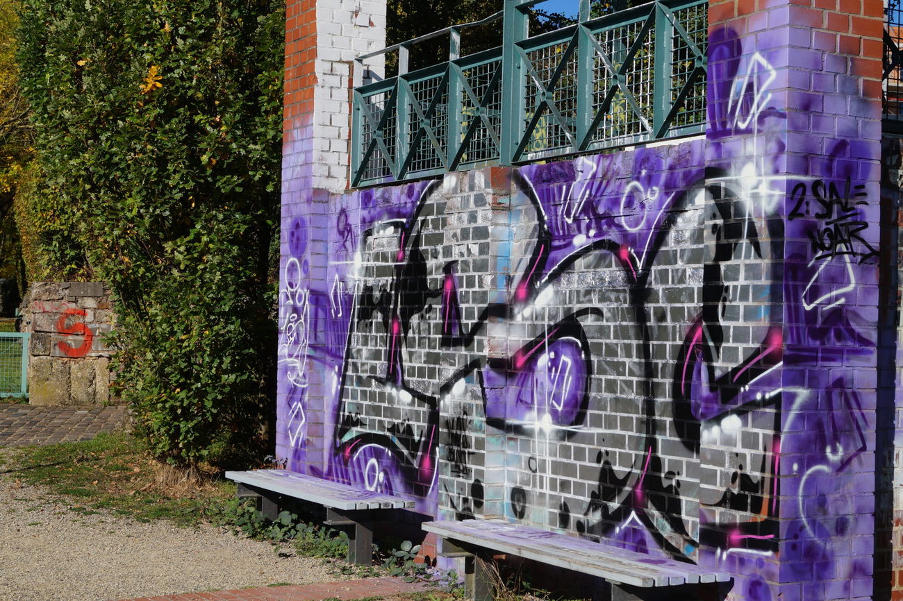 Graffiti Bombing - Photo by NUSONE - lsc, cru, crew (2017)