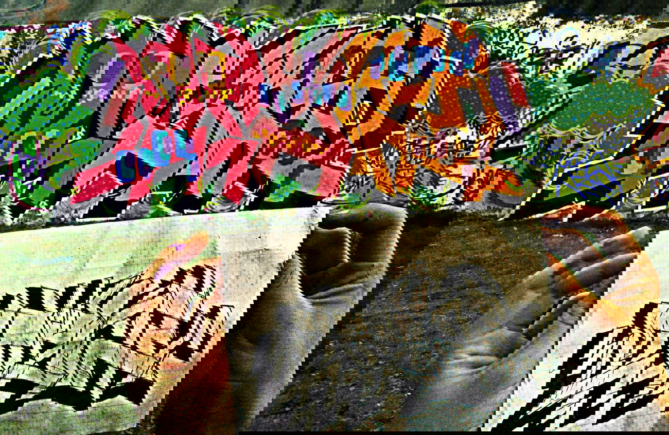 Graffiti Wall - Photo by NZEtin - tin, nzecrew, nzeekipa (2012)