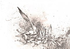 Photo #149862 by AGON