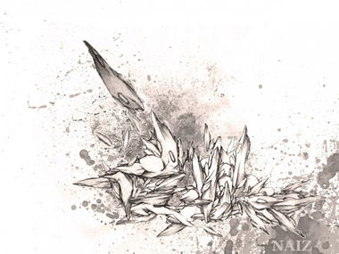 Graffiti Sketch - Photo by Naiz