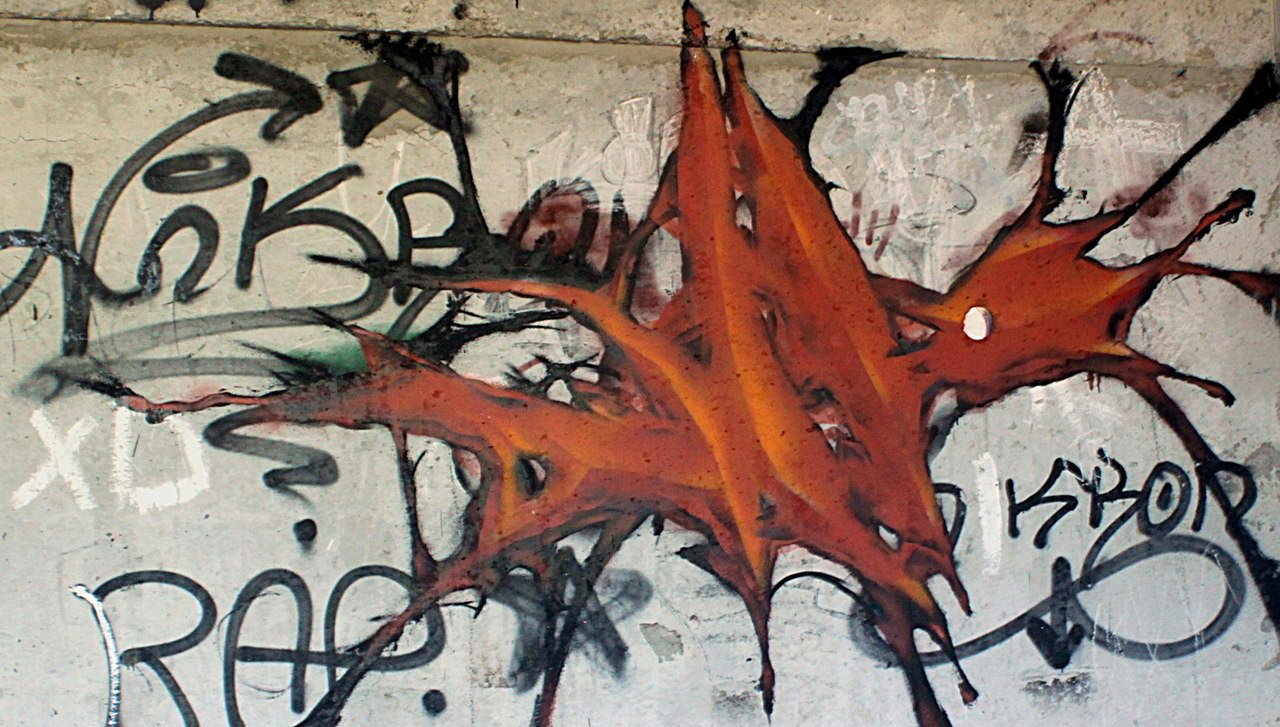 Graffiti Wall - Photo by Naiz