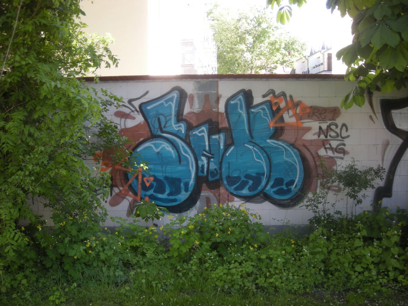 Graffiti Bombing - Photo by Nameless - SHK