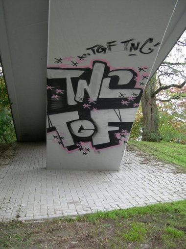 Graffiti Bombing in Osnabrück - Photo by Nameless - TNC, TGF (2008)