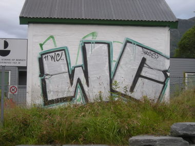 Graffiti Bombing in Bergen - Photo by Nameless - WC, FROGS (2011)