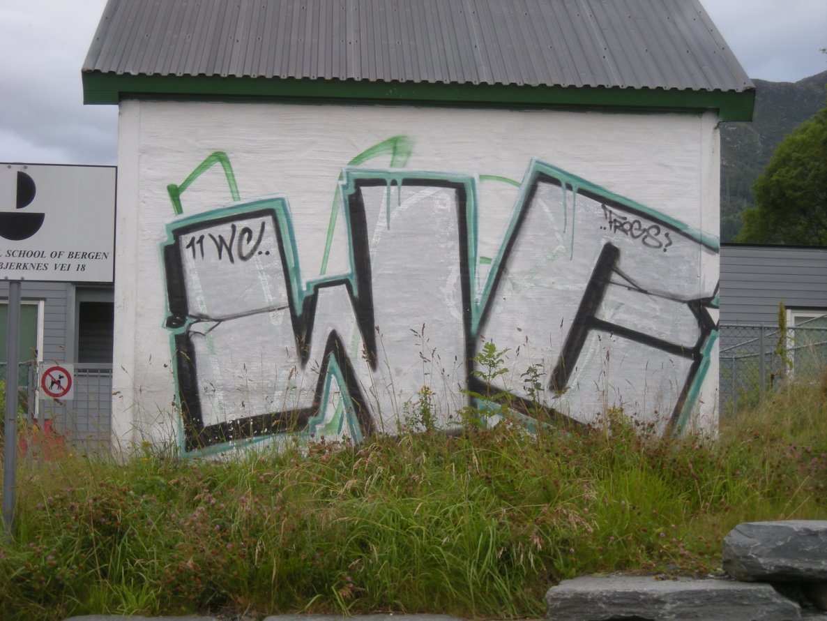 Graffiti Bombing in Bergen - Photo by Nameless - WC, FROGS (2011)