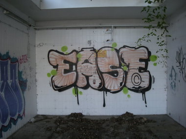 Graffiti Bombing in Flensburg - Photo by Nameless - EASE