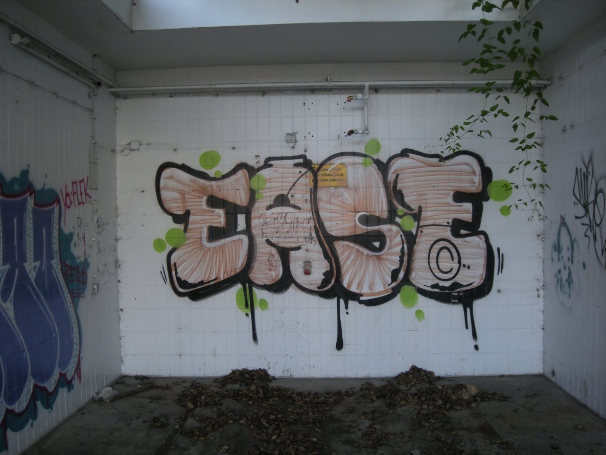 Graffiti Bombing in Flensburg - Photo by Nameless - EASE