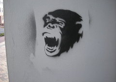 Photo #35899 by HarryKnidder