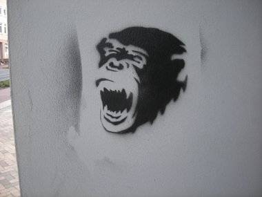 Graffiti Wall in Flensburg - Photo by Nameless - MONKEY