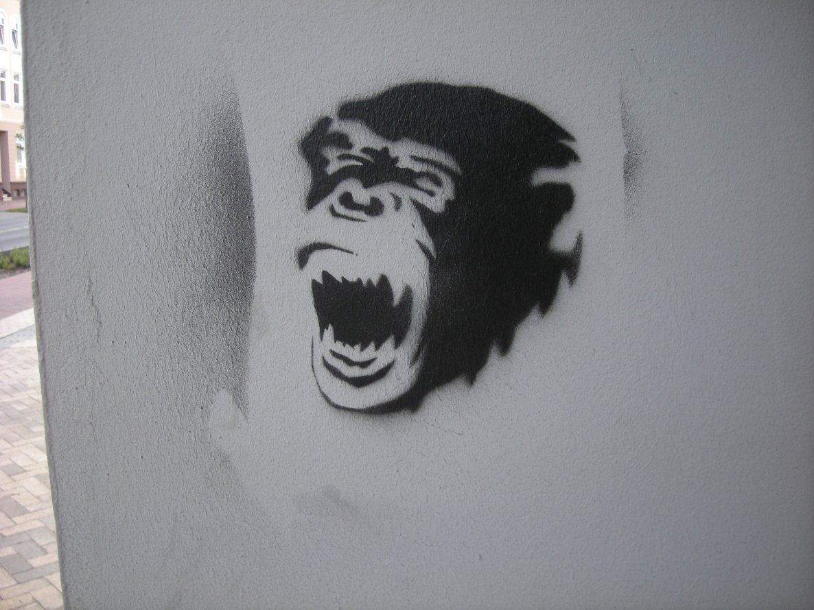 Graffiti Wall in Flensburg - Photo by Nameless - MONKEY