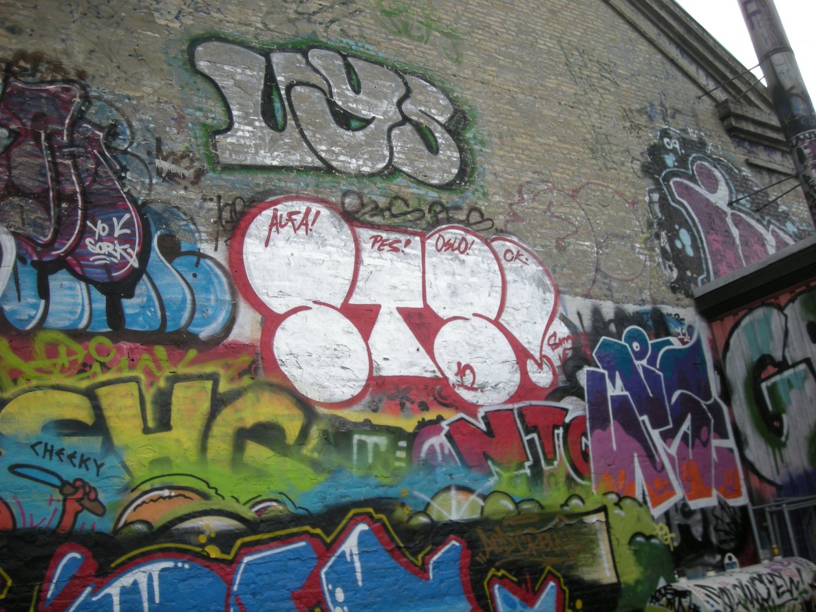 Graffiti Bombing in Copenhagen - Photo by Nameless (2012)