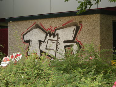 Graffiti Bombing in Osnabrück - Photo by Nameless - TGF (2014)