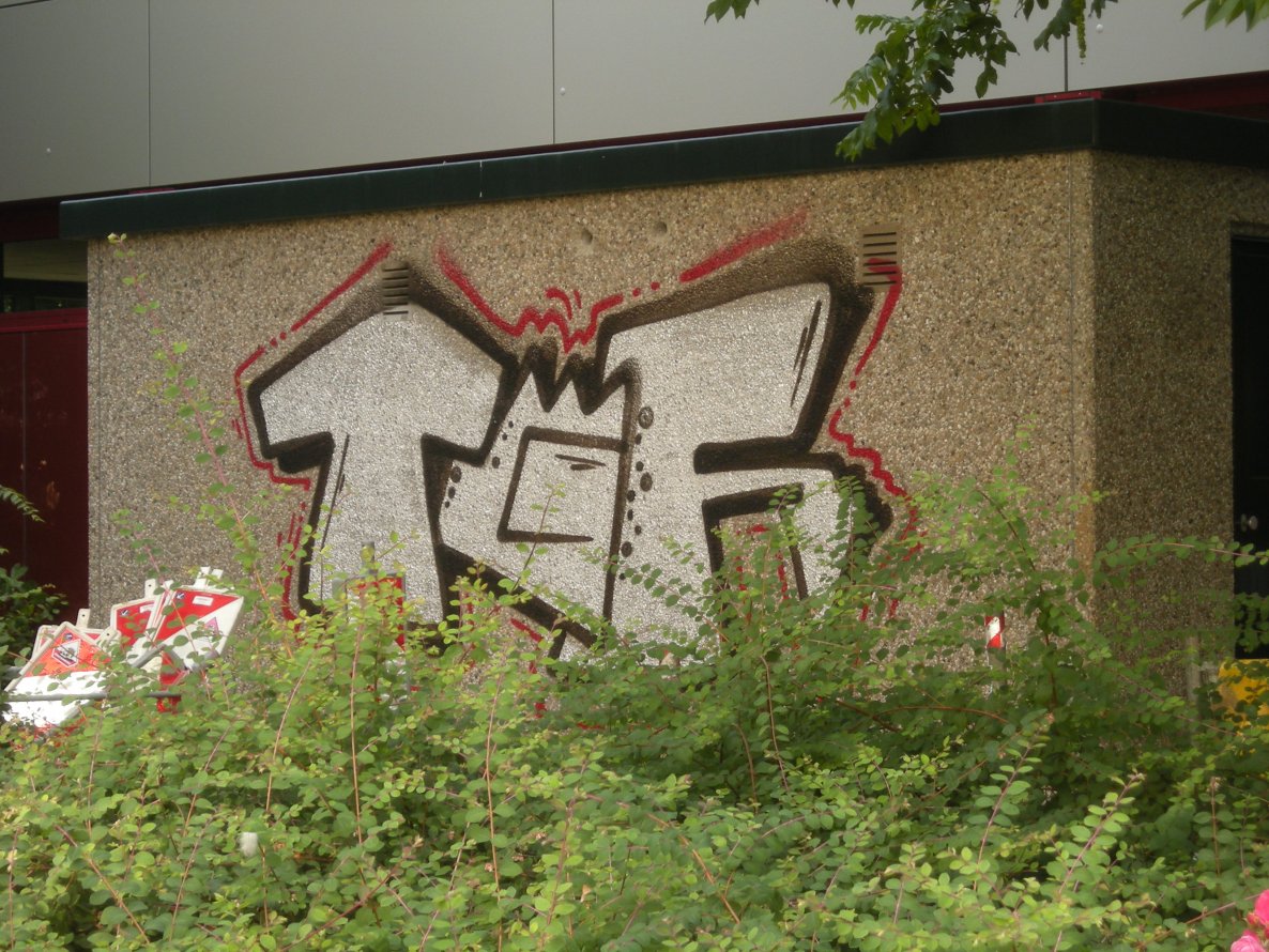 Graffiti Bombing in Osnabrück - Photo by Nameless - TGF (2014)