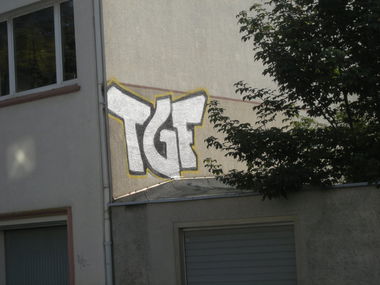 Graffiti Bombing in Osnabrück - Photo by Nameless - TGF (2014)