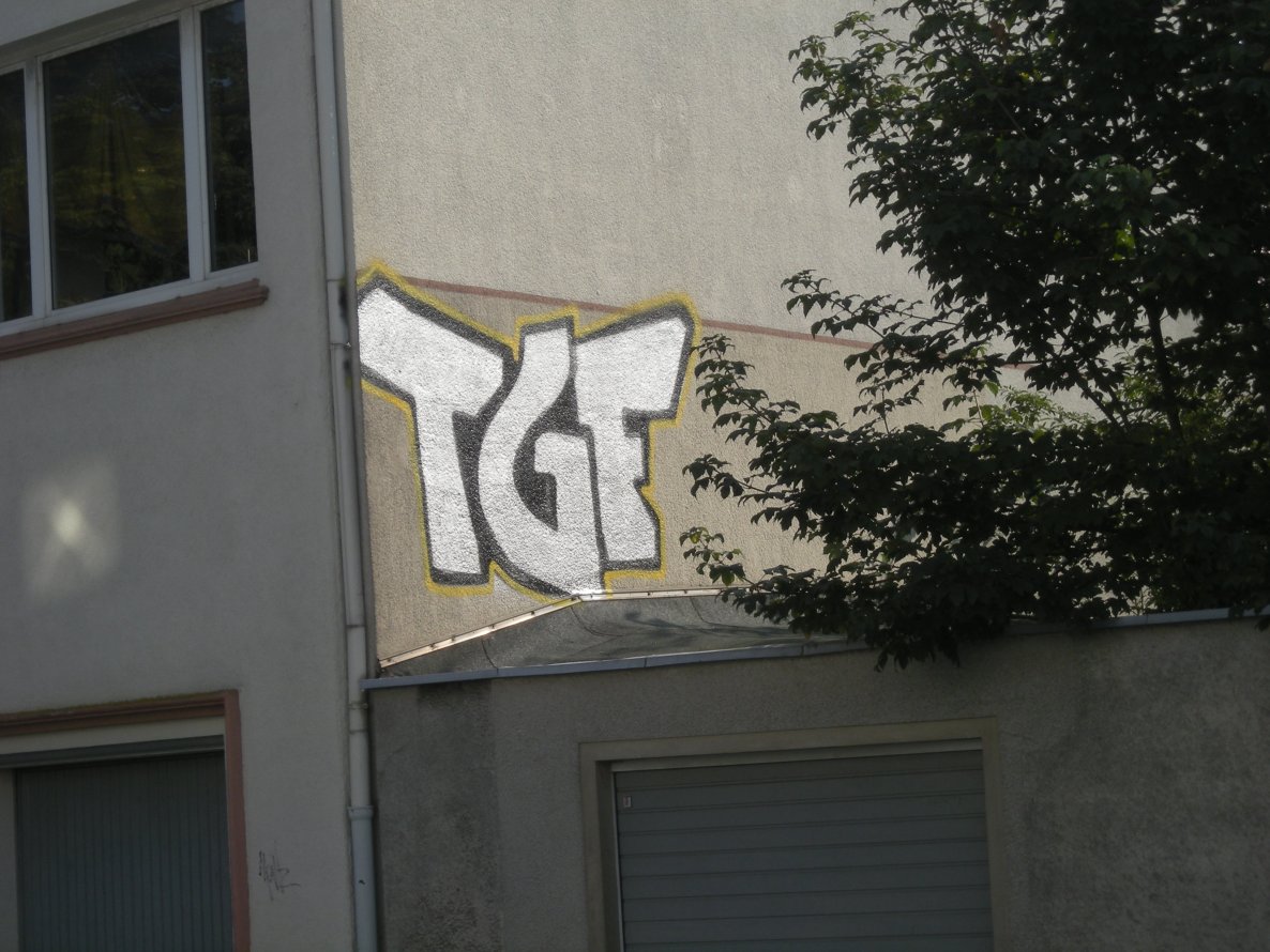 Graffiti Bombing in Osnabrück - Photo by Nameless - TGF (2014)