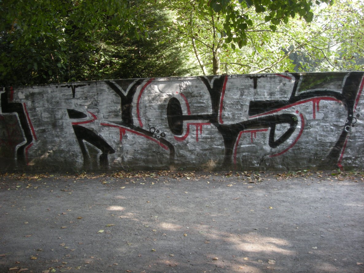 Graffiti Bombing in Osnabrück - Photo by Nameless - RCS, RADICALS (2014)