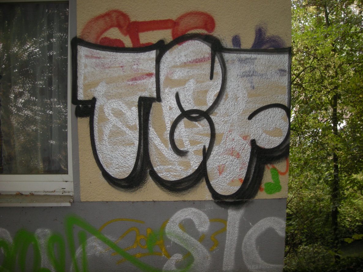 Graffiti Bombing in Osnabrück - Photo by Nameless - TGF (2014)