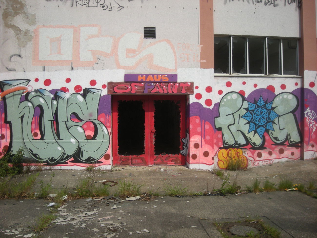 Graffiti Wall in Bonn - Photo by Nameless - HAUS, FROG, HAUSOFPAINT (2017)