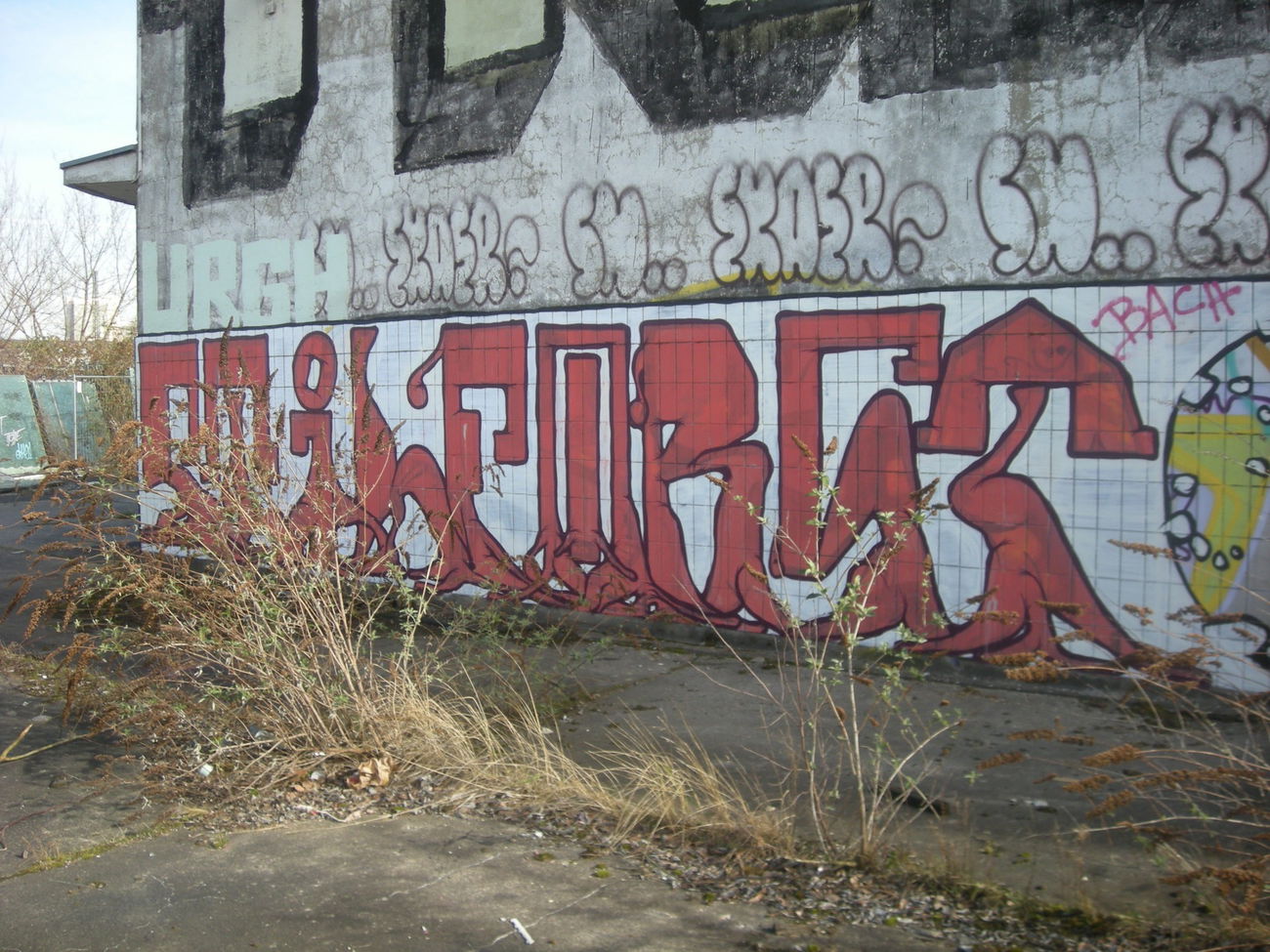 Graffiti Wall in Bonn - Photo by Nameless - STIL, FORST (2017)