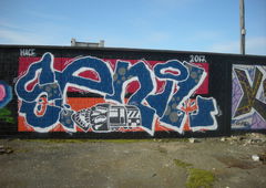 Graffiti Wall in Bonn - Photo by Nameless - SENIL (2017)