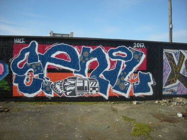 Graffiti Wall in Bonn - Photo by Nameless - SENIL (2017)