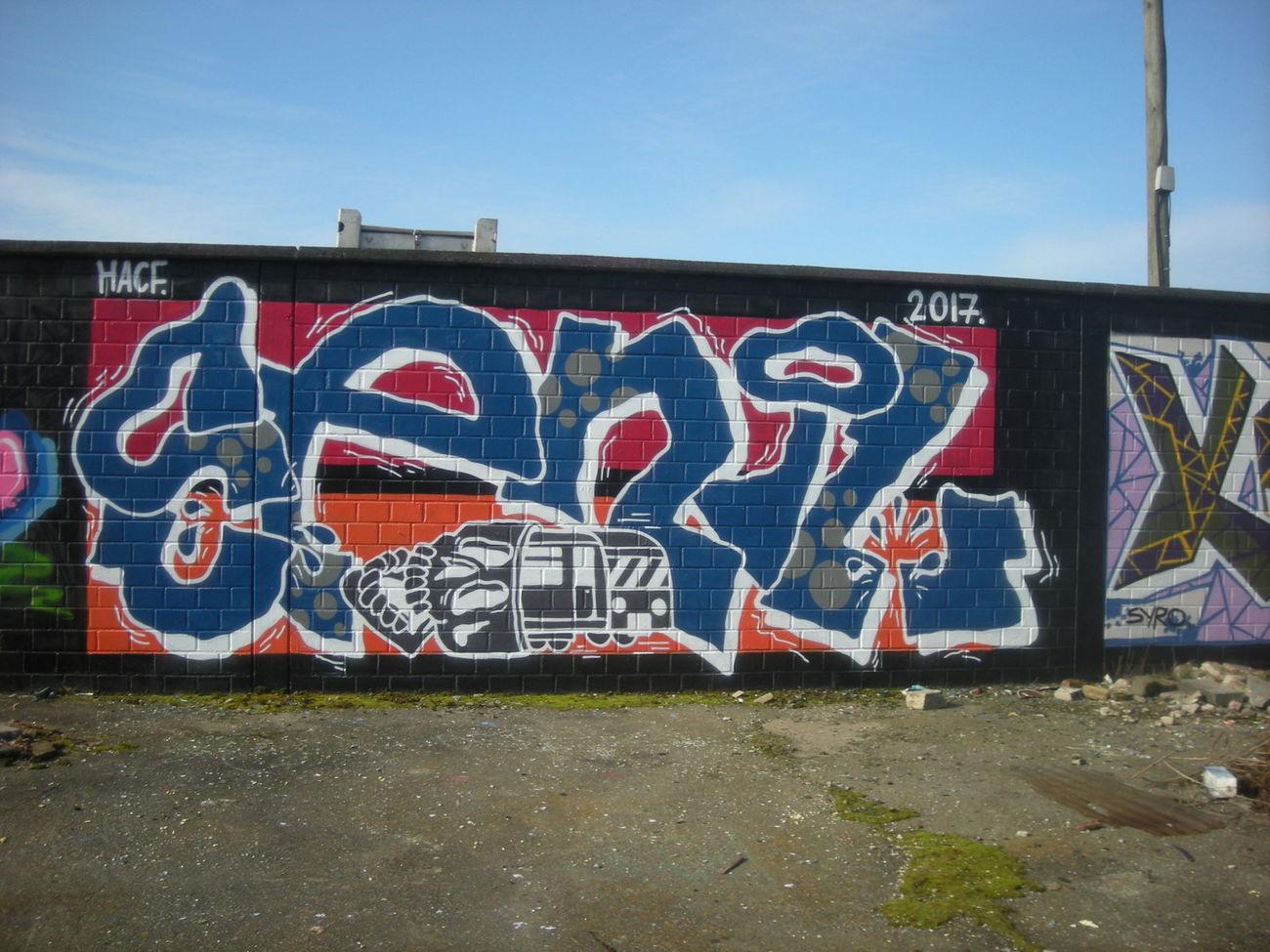 Graffiti Wall in Bonn - Photo by Nameless - SENIL (2017)