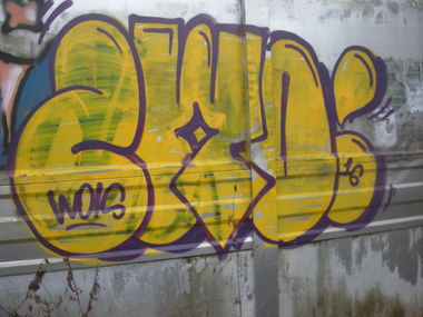 Graffiti Bombing - Photo by Nameless - ZWO (2016)