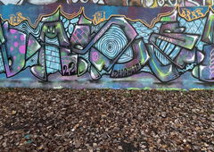 Photo #249484 by iobe1