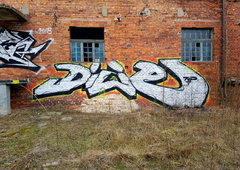 Photo #218807 by TheWallHunter